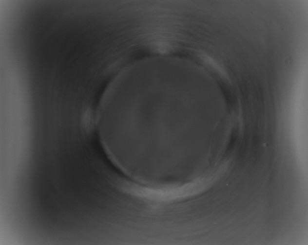 X0000100840043200807070942