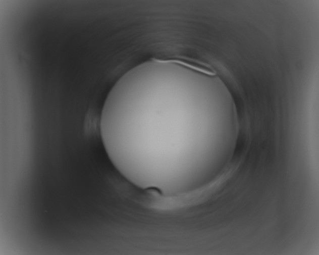 X0000100840045200807070942