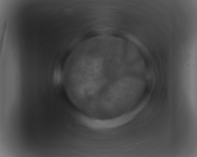 X0000100840046200807070942