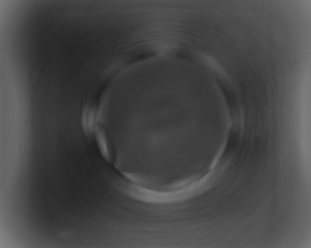 X0000100840047200807070942