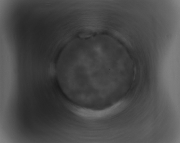 X0000100840048200807070942