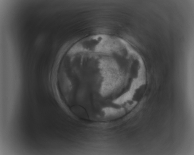 X0000100840049200807070942