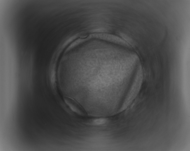 X0000100840050200807070942