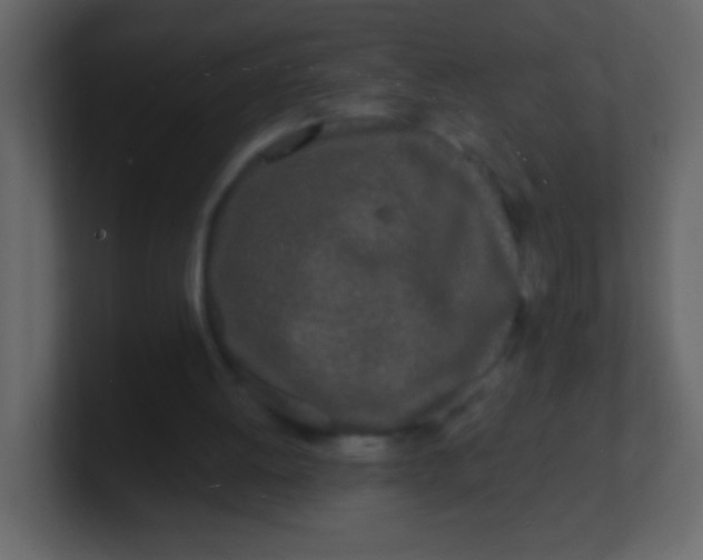 X0000100840052200807070942