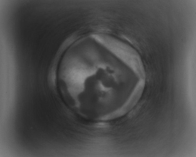 X0000100840053200807070942