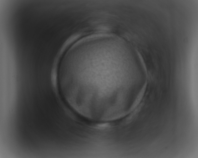 X0000100840054200807070942