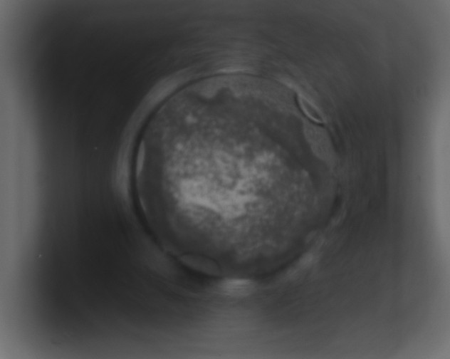 X0000100840055200807070942