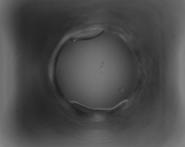 X0000100840056200807070942