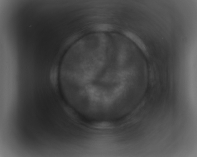 X0000100840058200807070942