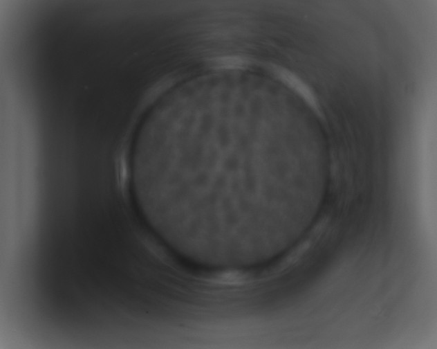 X0000100840059200807070942