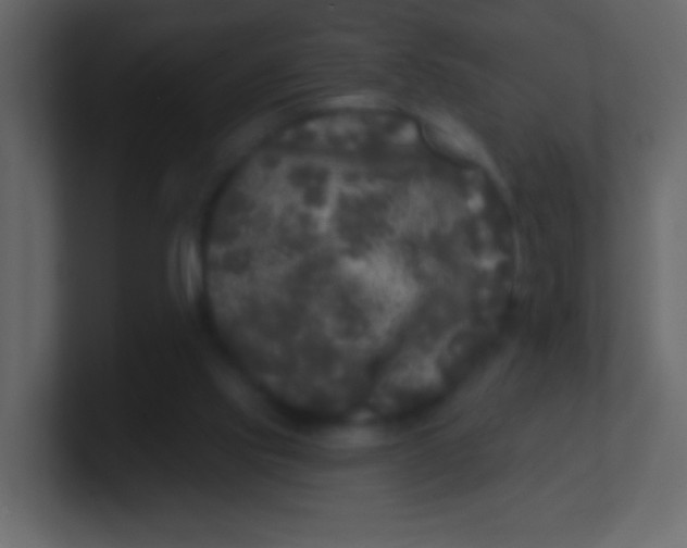 X0000100840061200807070942