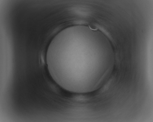 X0000100840062200807070942