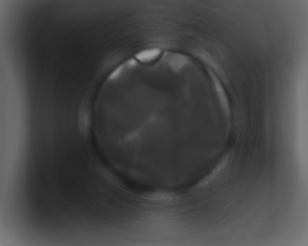 X0000100840063200807070942