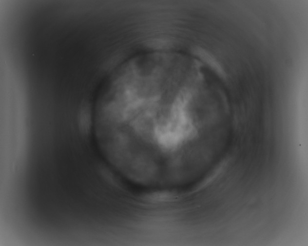 X0000100840065200807070942