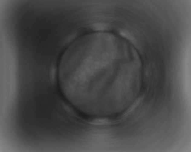 X0000100840066200807070942