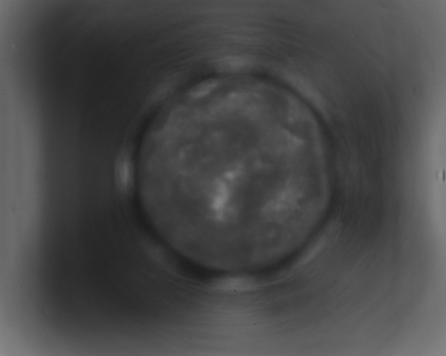 X0000100840067200807070942