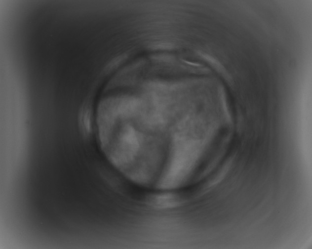 X0000100840068200807070942