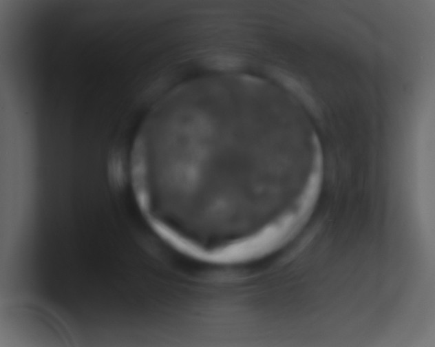 X0000100840069200807070942