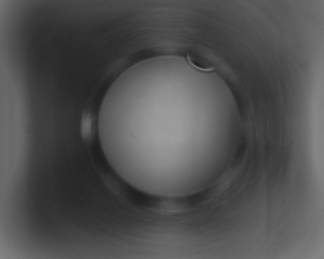 X0000100840070200807070942