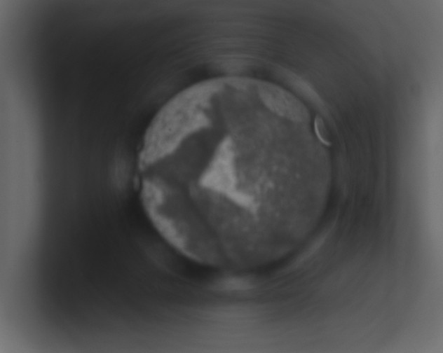 X0000100840073200807070942