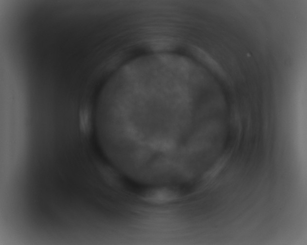 X0000100840074200807070942