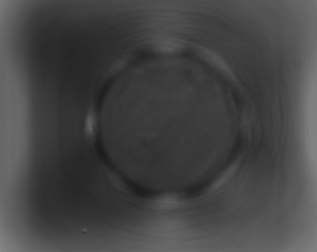 X0000100840076200807070942