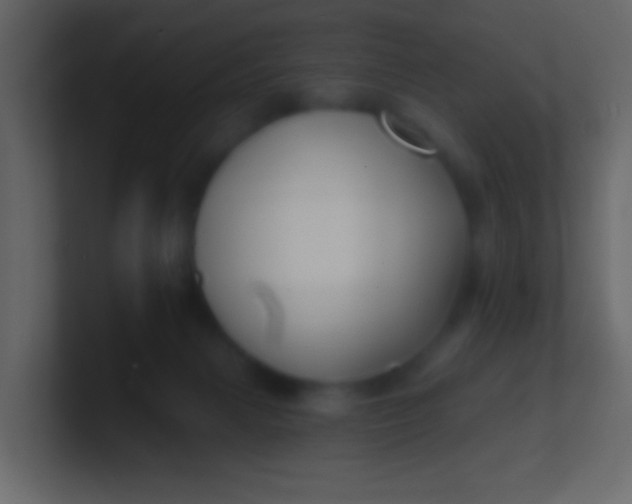 X0000100840079200807070942