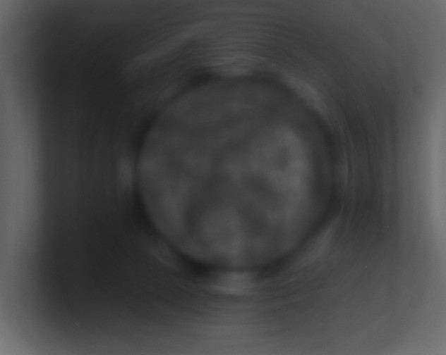 X0000100840081200807070942