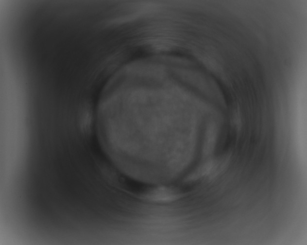 X0000100840082200807070942