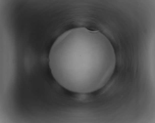 X0000100840085200807070942