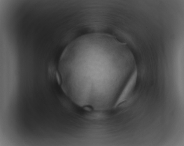 X0000100840086200807070942