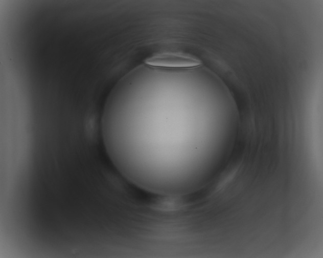 X0000100840088200807070942