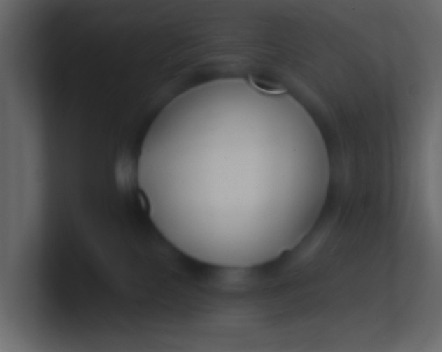 X0000100840089200807070942