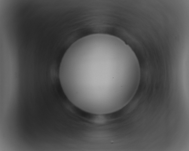 X0000100840091200807070942