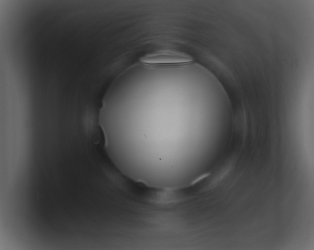 X0000100840092200807070942