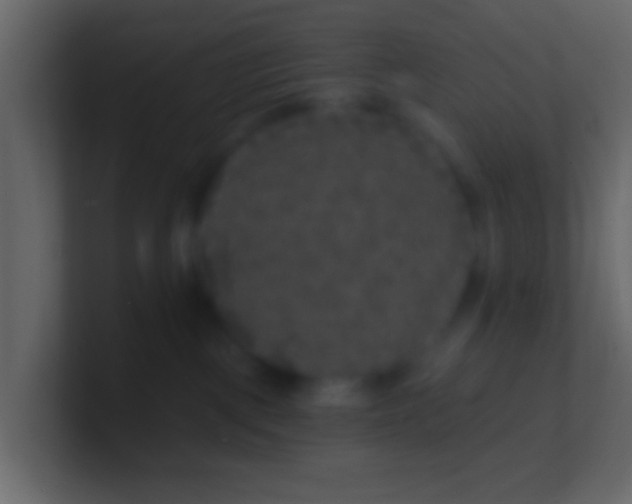 X0000100840093200807070942