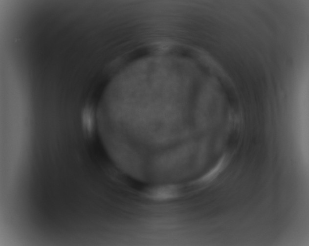 X0000100840094200807070942