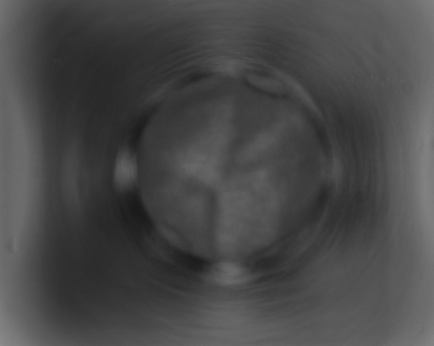 X0000100840095200807070942