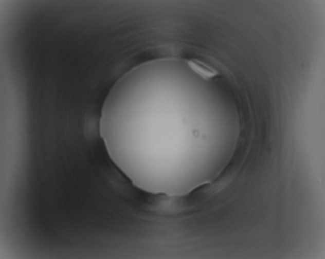 X0000100840096200807070942