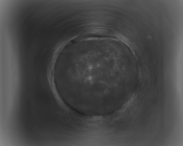 X0000100840097200807070942