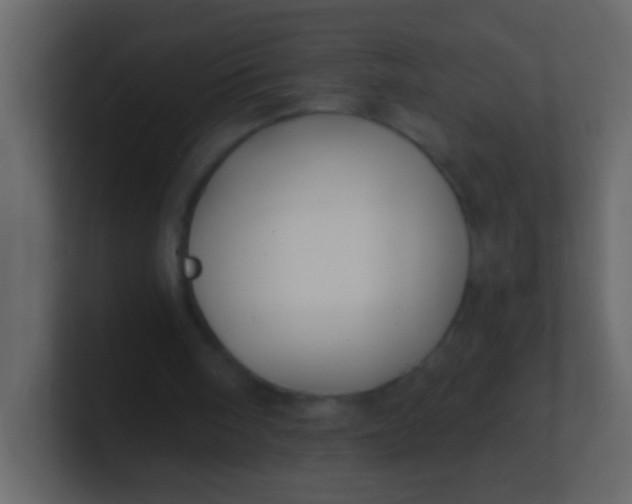 X0000100840098200807070942