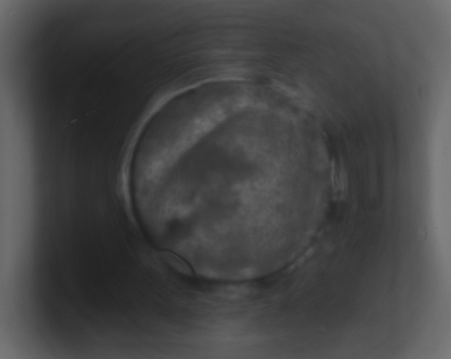 X0000100840099200807070942