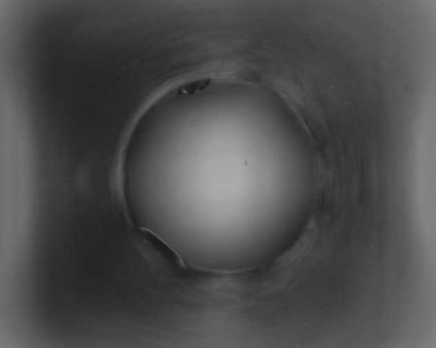 X0000100840100200807070942