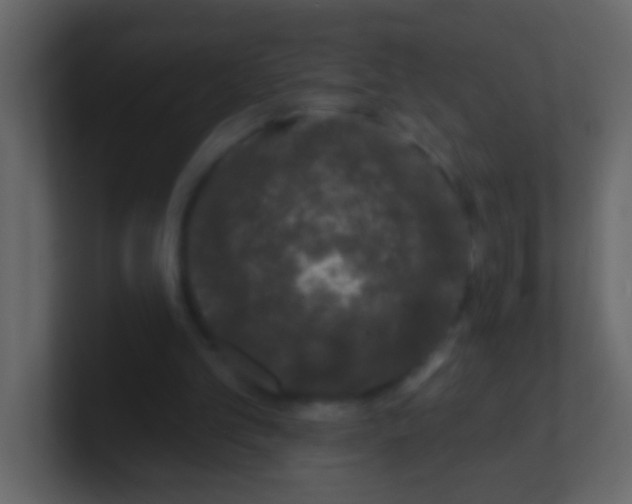 X0000100840101200807070942