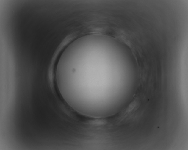 X0000100840102200807070942