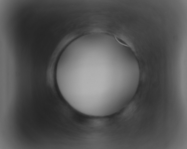 X0000100840103200807070942