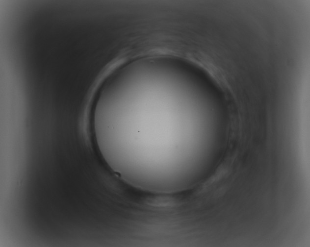 X0000100840104200807070942