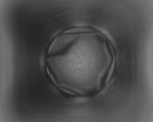 X0000100840105200807070942