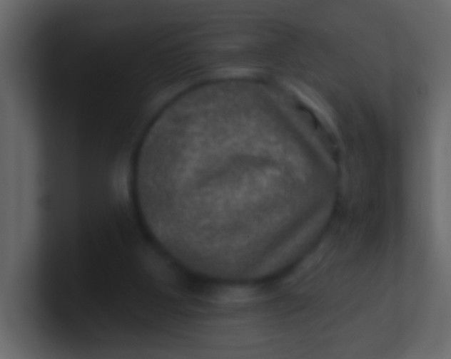 X0000100840107200807070942