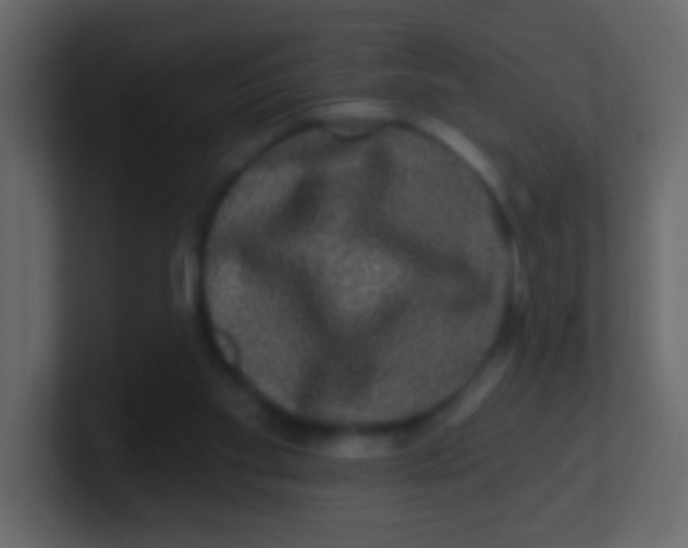 X0000100840109200807070942